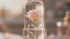 Short video showing the Crystal Flower Jelly Lip Balms and the dried flower set inside each balm